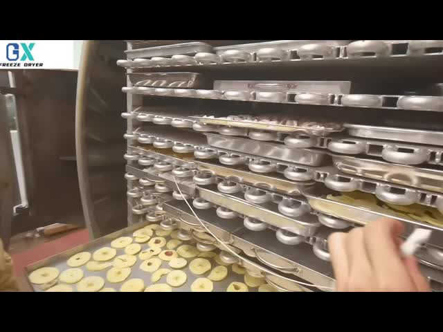 100KG Lyophilizer Freeze Dryer Small Scale Precise Freeze Drying Machine