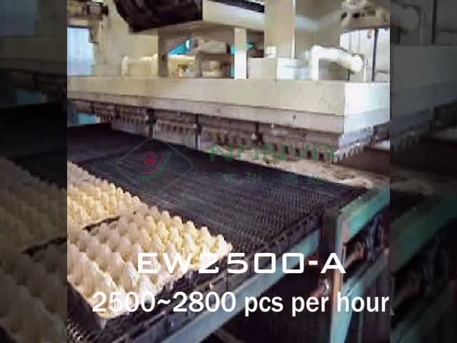 Pulp molding machine for Disposable White Paper Molded Quail Egg Carton / Egg Tray with 90 Cavities