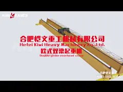 Workshop Electric Double Girder Overhead Crane 20 Ton Span 22m