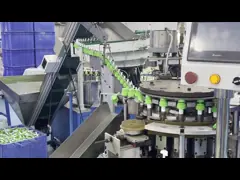 Duurzame Aangepaste Roze Lotionpomp/de Geribbelde Schuimende Pomp van de Handzeep