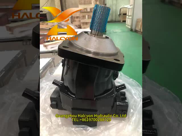 中国からのモーター OEM パーフェクト交換 A6VM107シリーズ A6VM107HA1/63W-VPB010A 水力モーター スプリーンシャフトとフラットキーシャフト2型