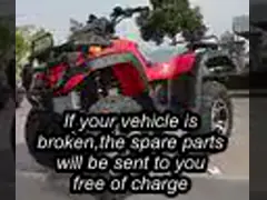 Cdi Ignition 4 Stroke 18.35hp 300cc Atv Adult Quad Bikes 4x4 65km/H