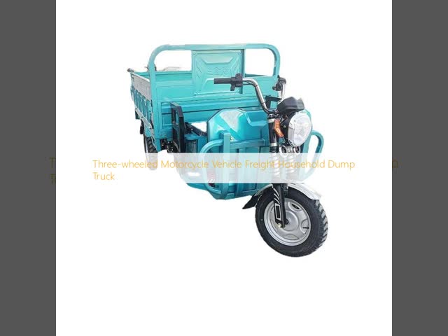 Three Wheeled Electric Tricycle With Canopy 30-50Km/H 90KM