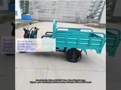 50KM/H Three Wheel Cargo Electric Tricycle 90KM For Adults