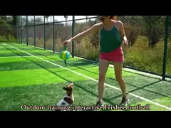LED vliegende hondenbal interactief speelgoed voor huisdieren rubberen plastic interactief speelgoed voor puppy's