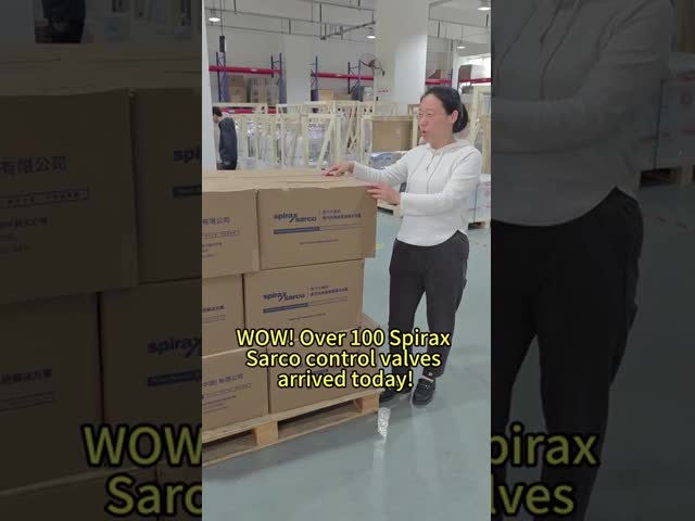 Поплавок Spirax Sarco и термостатический пар поглощают FT14 65-200 psig