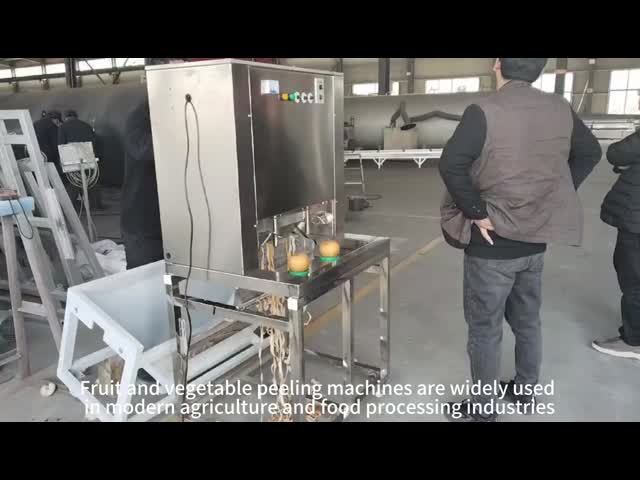 小型シングルヘッド デスクトップ 商用パンプキン剥き機