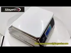 Digital Electronic Weight Scale IP68 Waterproof Weighing Waterproof Scale