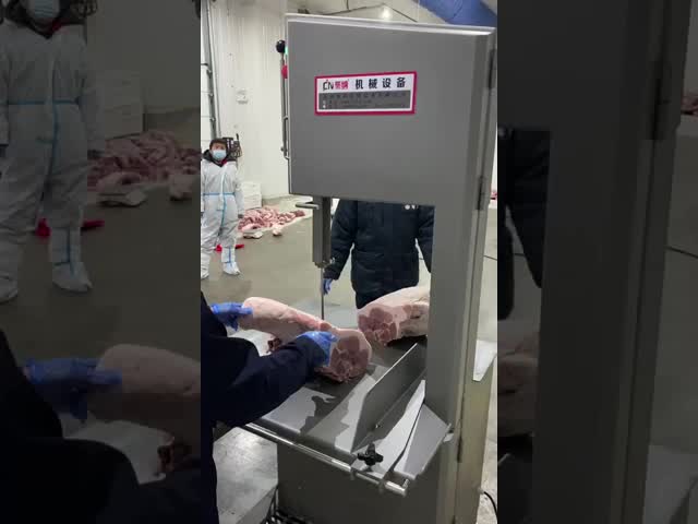 Factory Sale -15℃ Frozen Meat Desktop Commercial Fully Automatic Bone Sawing Machines