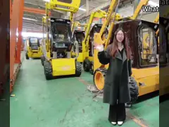 Yüksek Akışlı İzlenmiş Kaydırma Yükleyici TS65 Rated Load 1000kg Near Me Satış