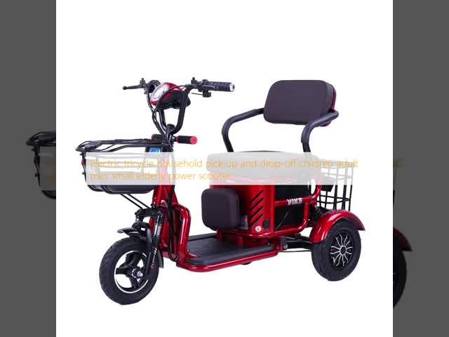 Children Adult Mini Leisure Electric Tricycle Household Pick Up And Drop Off