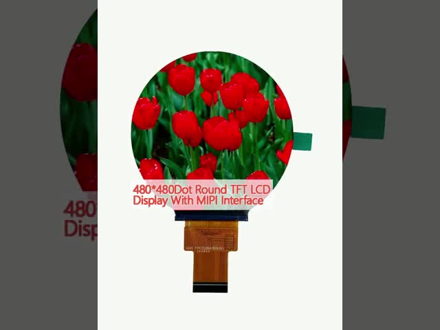 480*480Dot Round TFT LCD Display With MIPI インターフェース