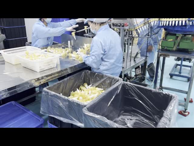 Customized Foaming Hand Soap Pump 24/410 28/410 33/410 38/410