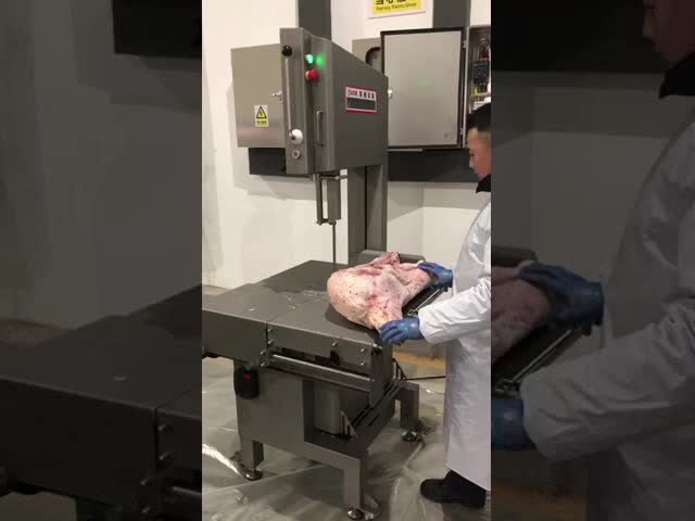 Commercial Use Bone Saw Machine