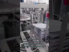 WZ300 Electric Automatic Doypack Packaging Machine Type Of Power Supply 380V 50HZ