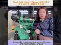 Yangdong Y490D Engine Diesel Generator 20KW 25KVA With Soundproof Case