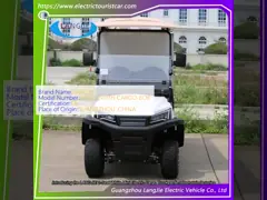 2 personen witte mini elektrische vrachtwagen met composiet vrachtdoos 500kg 48v 4kw wisselstroommotor