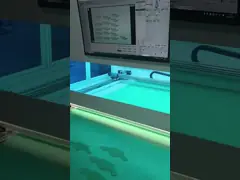 Machine à dessiner des lignes à jet d' encre à double tête, machine à marquer les chaussures pour le dessus des chaussures / Vamp