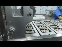 Machine d'emballage de boulettes de bœuf MAP 1,5 kW-5 kW à haute vitesse 220V/50HZ video