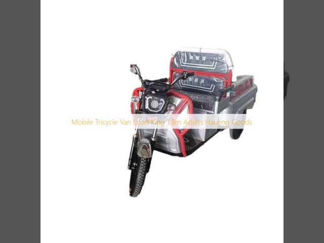 Mobile Passenger Electric Tricycle Load King 1.8m Adults Hauling Goods