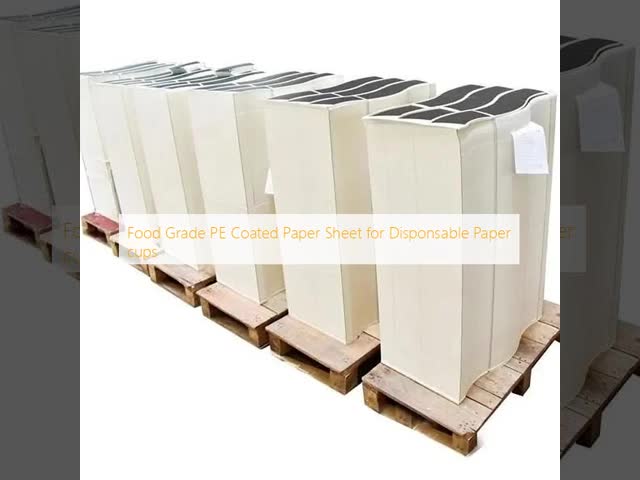 Raw Material PE Coated Paper In Sheet For Making Disposable Paper Cups