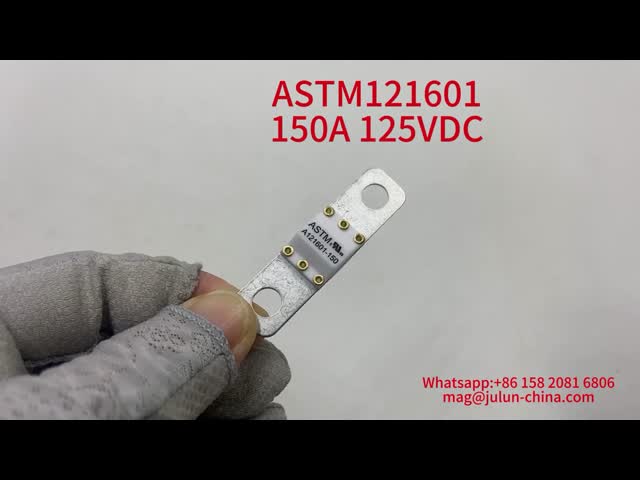 自動車用断路器 A202008 100A 100VDC EV FUSE ASTM