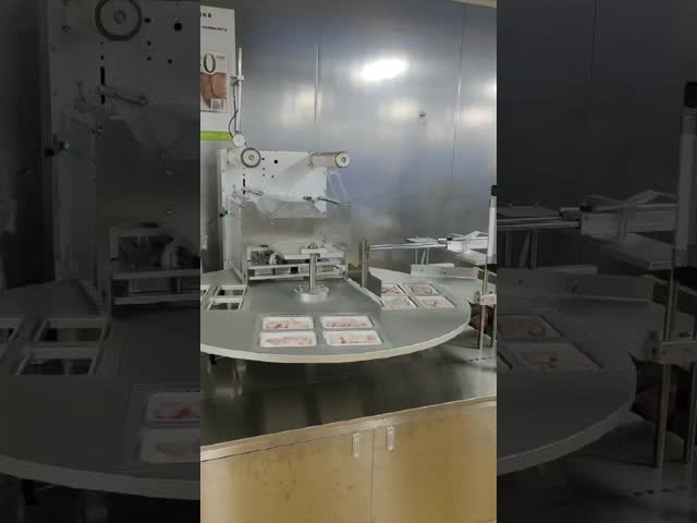 Energy Efficient Disposable Food Container Sealing Machine Map Standard Rustproof video