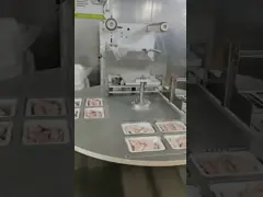 Energy Efficient Disposable Food Container Sealing Machine Map Standard Rustproof video