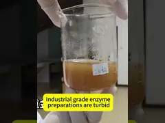 China Papain Protease In Industry Used For Protein Feed And Medicine supplier