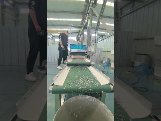 食品用X線金属検出コンボシステム 菓子工場用 CE