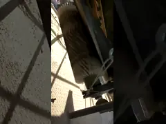 Nylon Cylinder Brush For Food Processing, Road Sweeping, Conveyor Cleaning