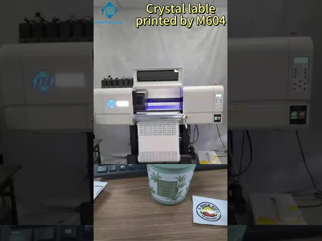 Epson i3200 U1 DTFの紫外線プリンターCMYK +白+ V Maintop 6.1/PPの柔らかい裂け目1.5mmまで1880のDpi