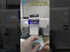 Imprimante UV d'Epson i3200 U1 DTF CMYK + DÉCHIRURE molle jusqu'à 1.5mm de blanc + de V Maintop 6.1/PP 1880 Dpi