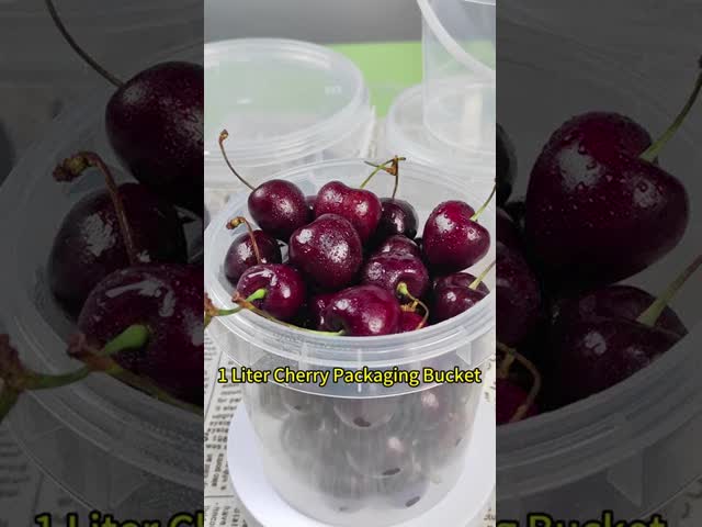 Capacidade personalizada Transparente branco IML LOGO 1L PP recipiente de plástico para alimentos e bebidas