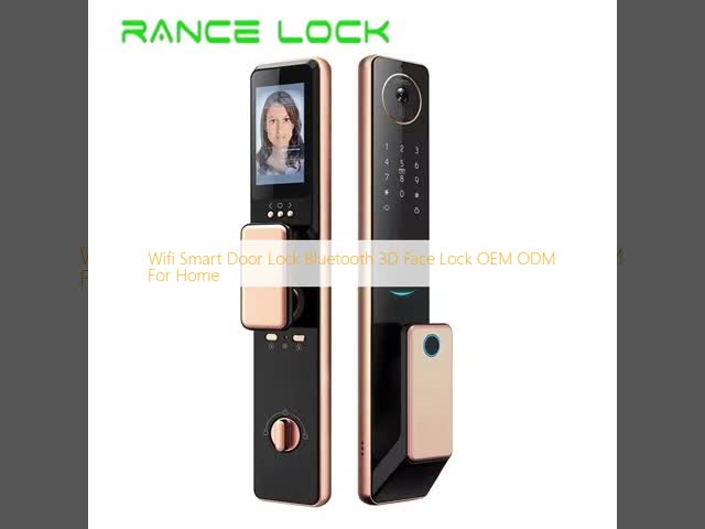 Wifi スマートドアロック ブルーツepo_Latn 3Dフェイスロック OEM ODM For Home