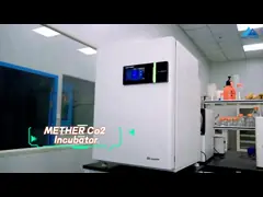 China 12 Drawers Minus 25 Degrees Laboratory Deep Freezer With Two Independent Chambers supplier