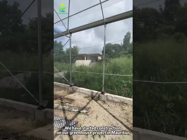 Парник салата зимы ширины парника 9.6m крыши треугольника аграрный стеклянный