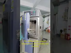 Θερμοκρατική και υγρασία δοκιμαστική αίθουσα με προγραμματισμό ρυθμίσεων για ακριβή δοκιμή