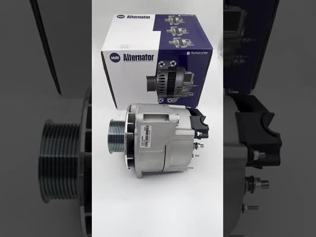 24V 100A エグババターオルテナター 12388N 0120468143 0091549902 860563
