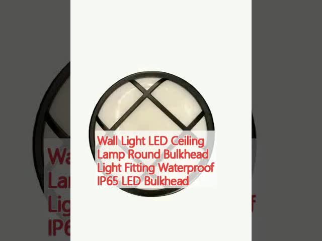 壁ライト LED 天井ランプ 丸い壁面 灯具 防水 IP65