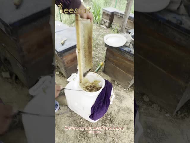 Wholesale New Condition Beekeeping Veil Fencing Hat with Bee Elegant Design for Professional Beekeepers