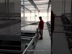 China Honeycomb Greenhouse Cover Materials 4 Layer Polycarbonate Sheets For Greenhouse supplier