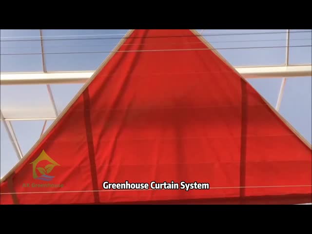 All-Weather Farming Solution Stable Structure Greenhouse with Hot Dipped Galvanized Steel and Commercial Grade Glass