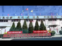 Cetakan Injeksi Untuk Custom ABS PP PS PE PVC PA6 PA66 Plastic Molding Parts Perusahaan
