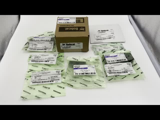 EexcavaStart Original Gasket Cover 6708016 for Excavator S450 Engine