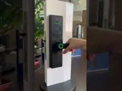 Qleung Tuya Wifi APP điều khiển từ xa dấu vân tay mã thẻ chìa khóa S821Max Smart Home Door Lock với camera