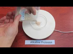 China Water Soluble Protease Laundry Detergent 2.4L Customized Enzyme Activity supplier