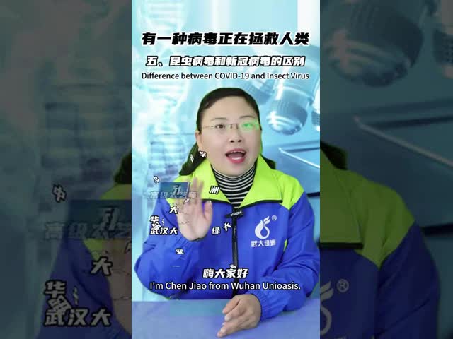 ペットに安全なゴキブリの餌ジェルと活性成分ゴキブリウイルスでゴキブリに別れを告げましょう