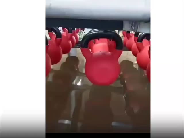 全5-55ポンドケトルベール ダンベルの体重のための鋳鉄 運動,ジム,フィットネス,全身トレーニング機器 押す,握りしりしりしりしりと力トレーニング