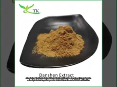 Extracto de Ervas Naturais de Salvia Miltiorrhiza Extracto de Raiz de Salvia Miltiorrhiza em pó